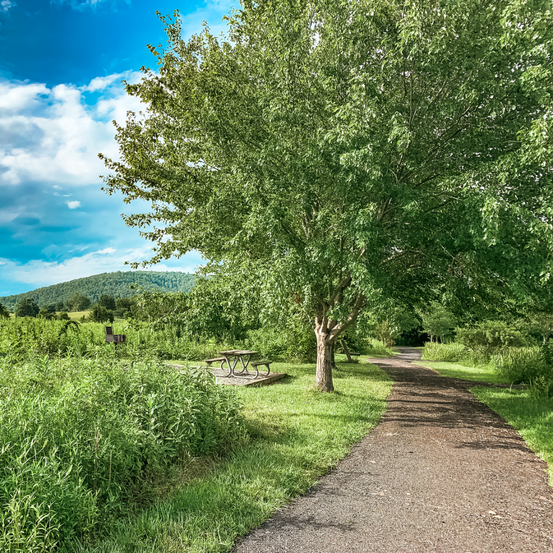 state park featuring a walking path and a picnic bench under a bright blue sky