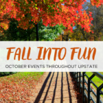Fall walkway in Greenville